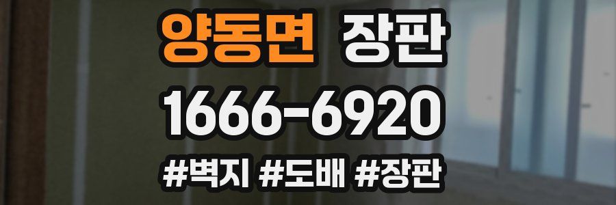 양동면 장판