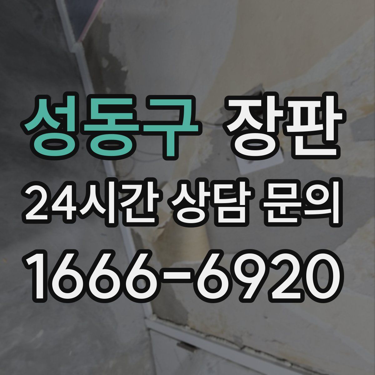 성동구 장판