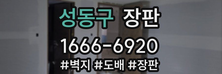 성동구 장판