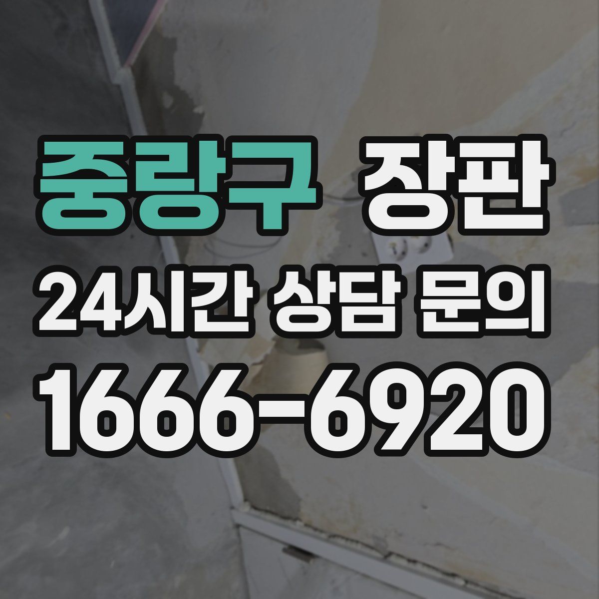 중랑구 장판