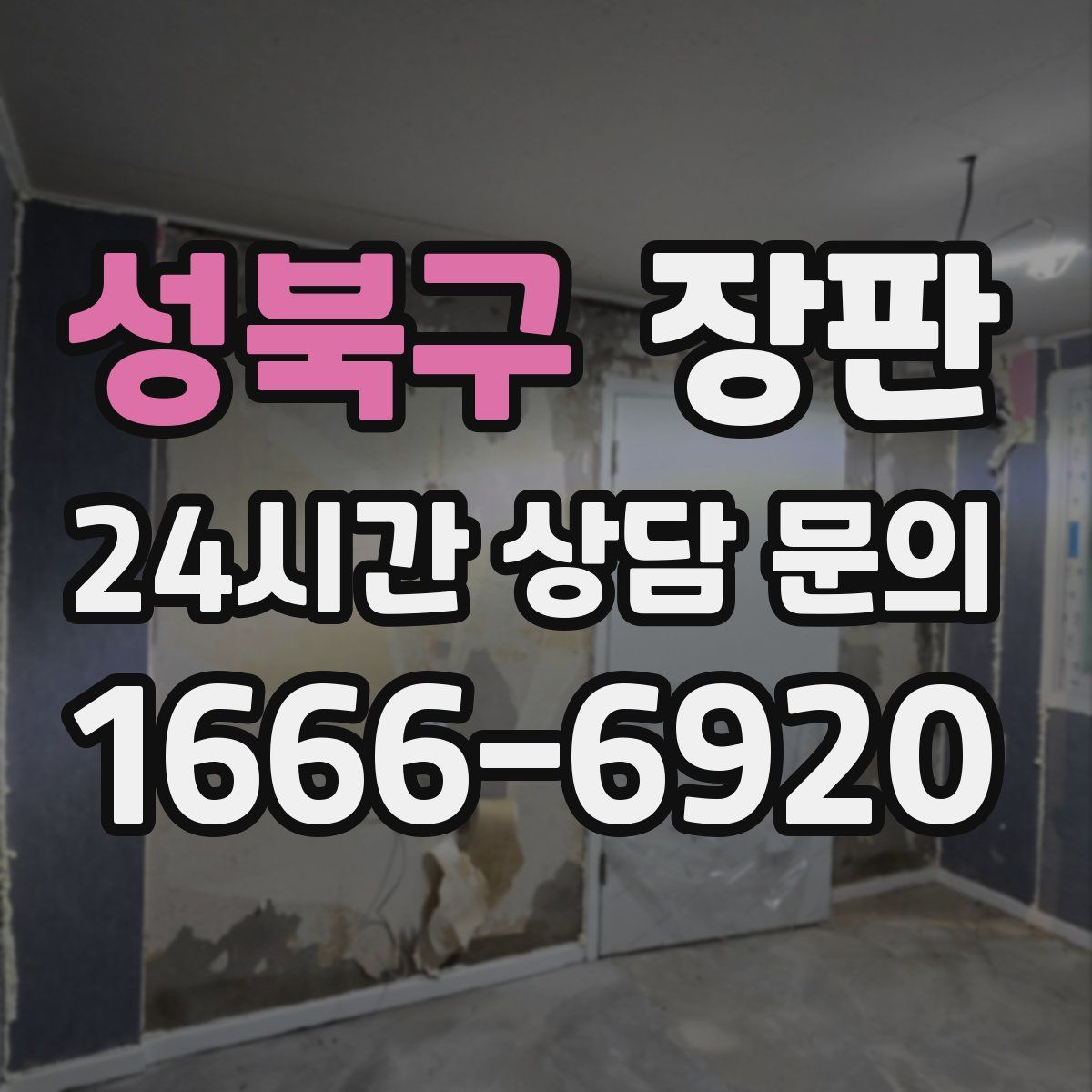 성북구 장판