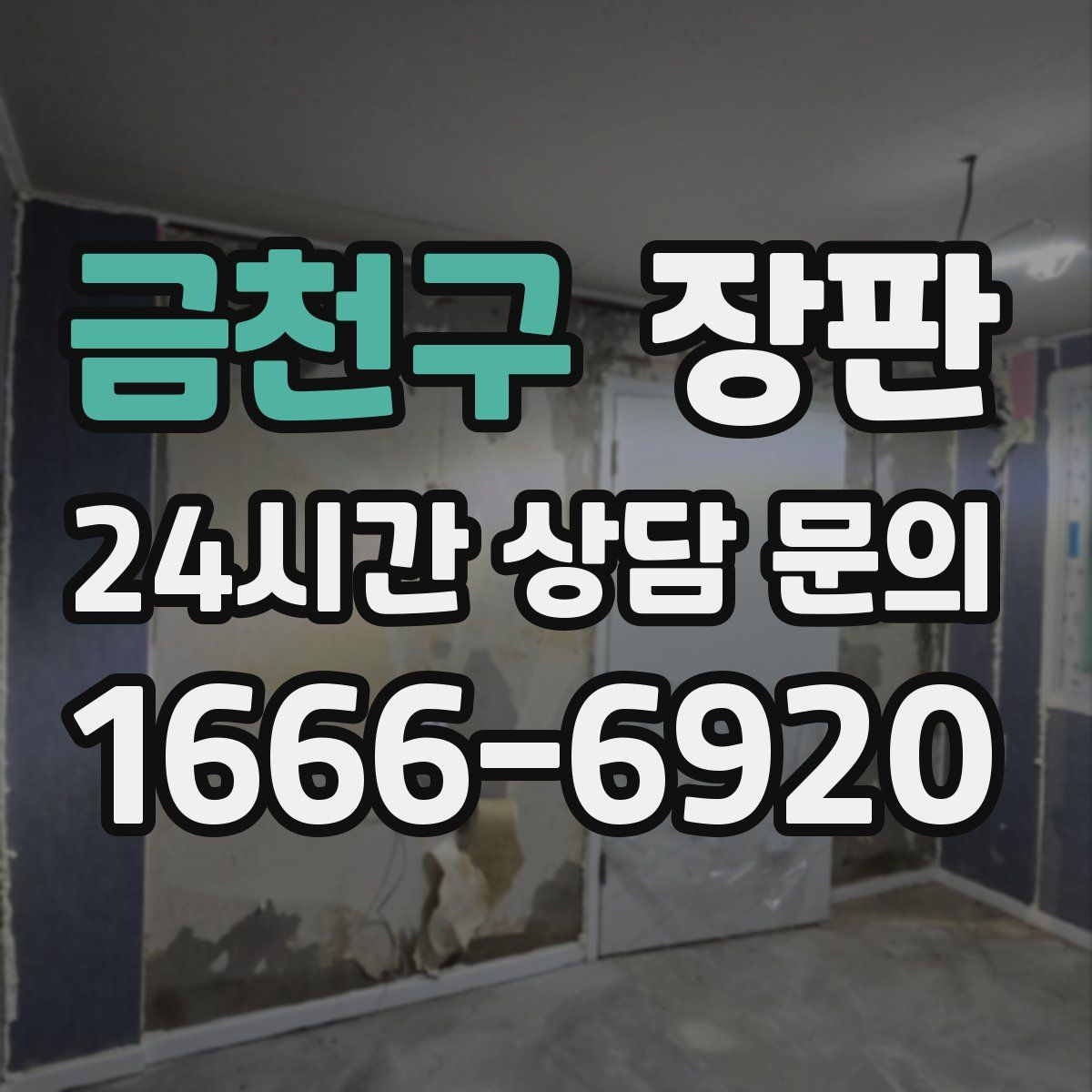 금천구 장판