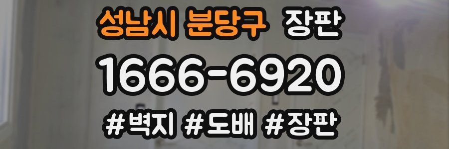 성남시 분당구 장판