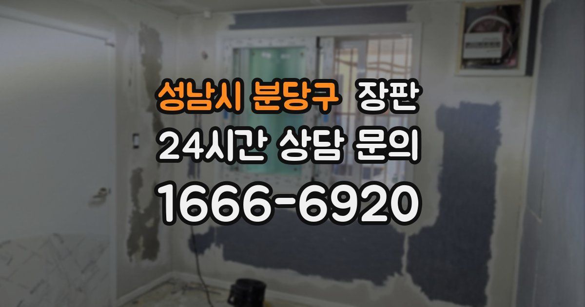 성남시 분당구 장판