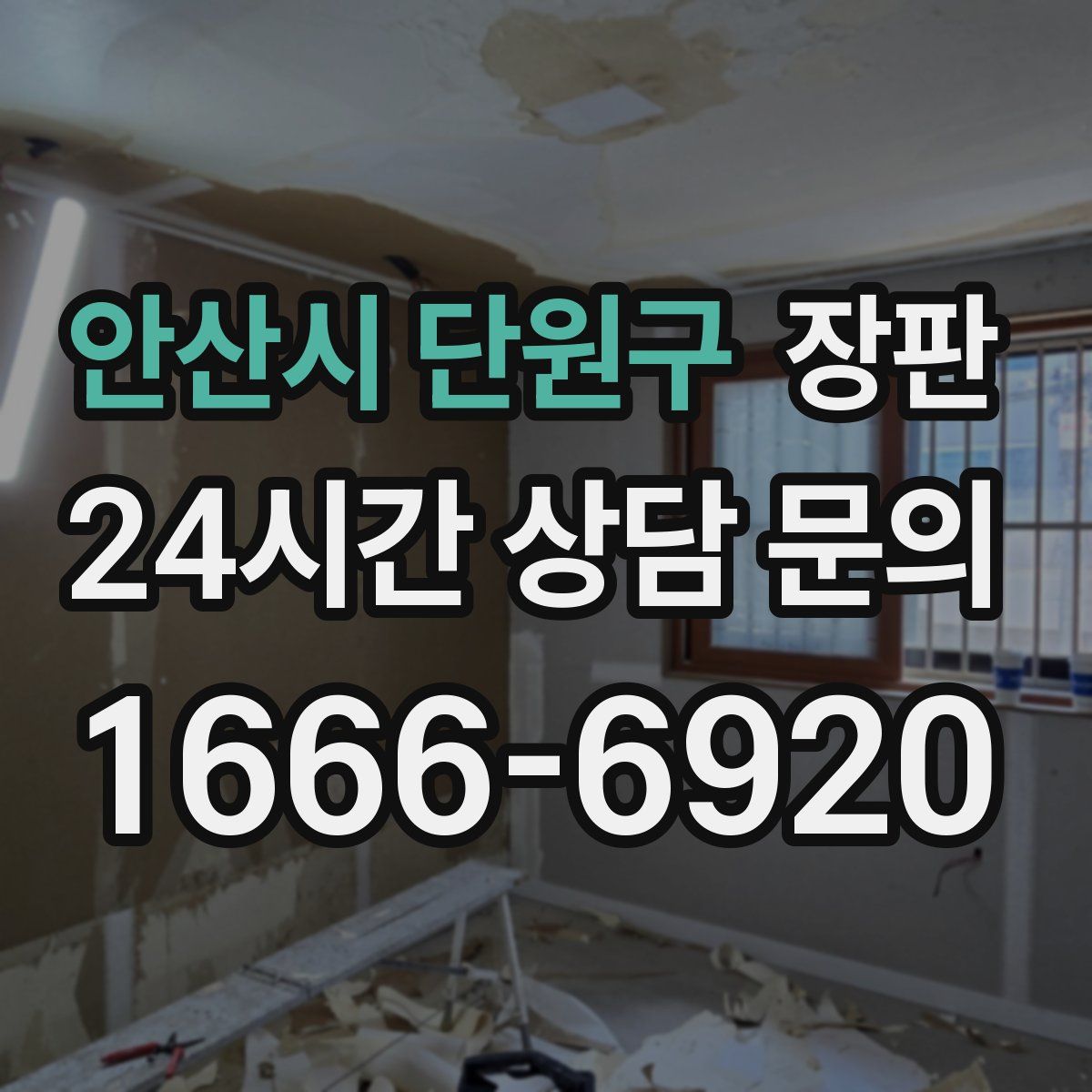 안산시 단원구 장판