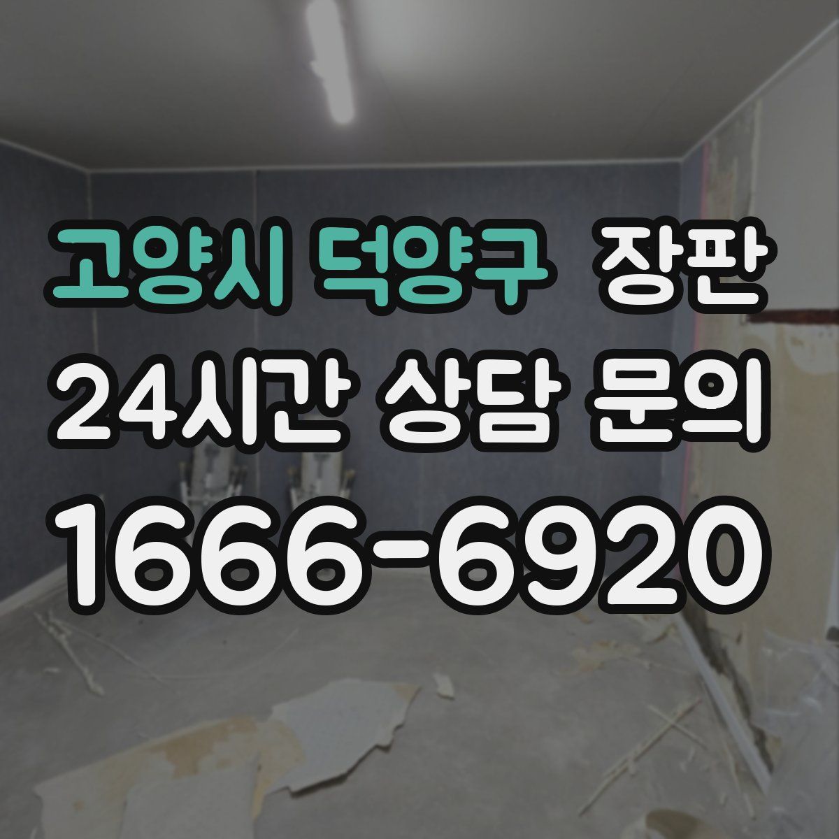 고양시 덕양구 장판