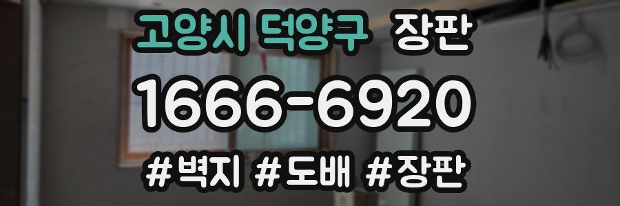 고양시 덕양구 장판