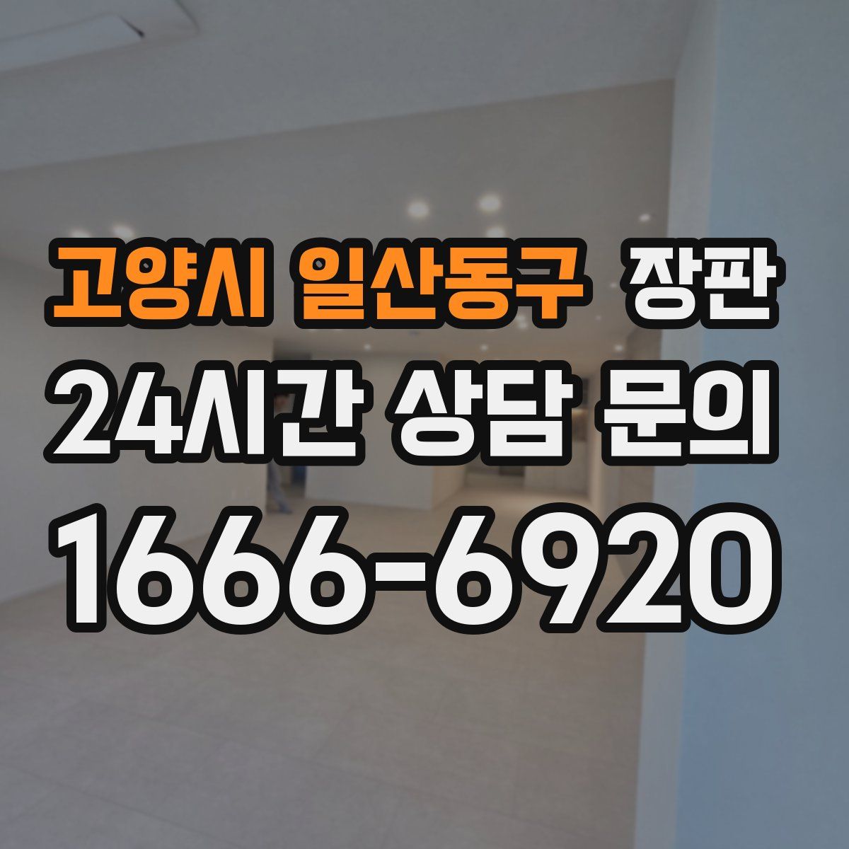 고양시 일산동구 장판