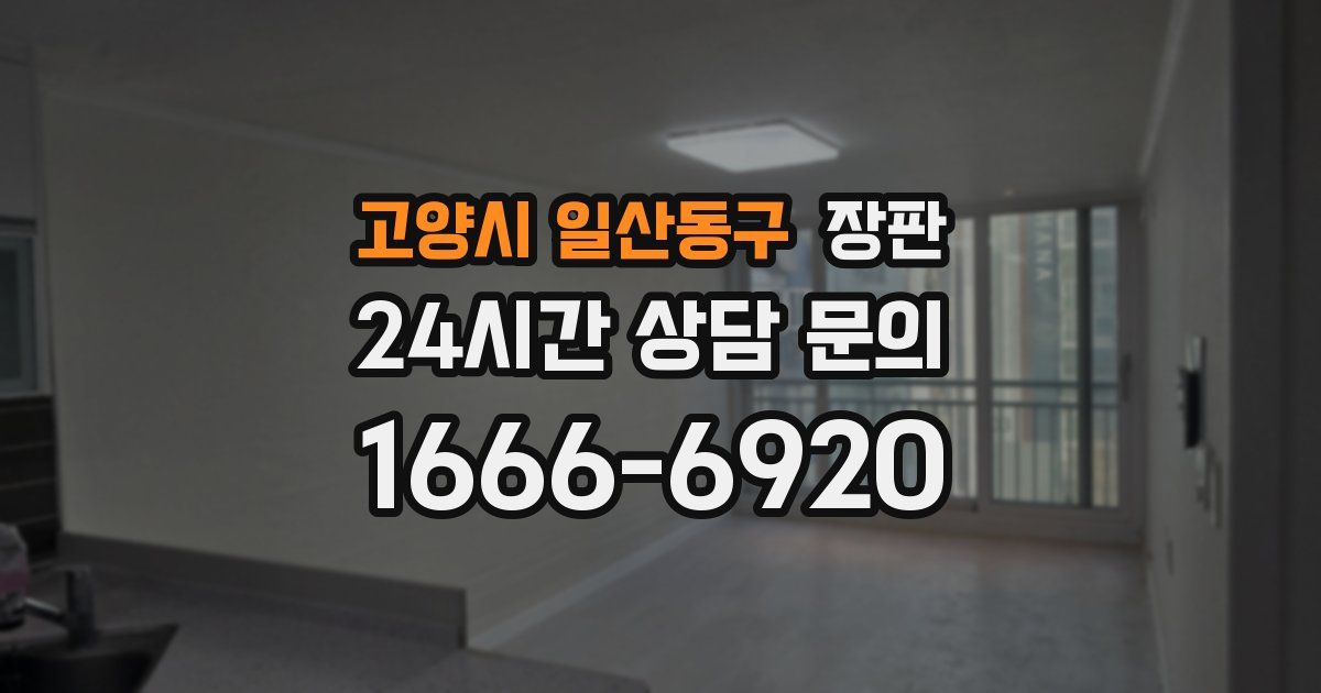고양시 일산동구 장판