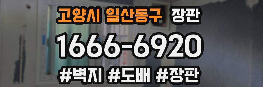 고양시 일산동구 장판