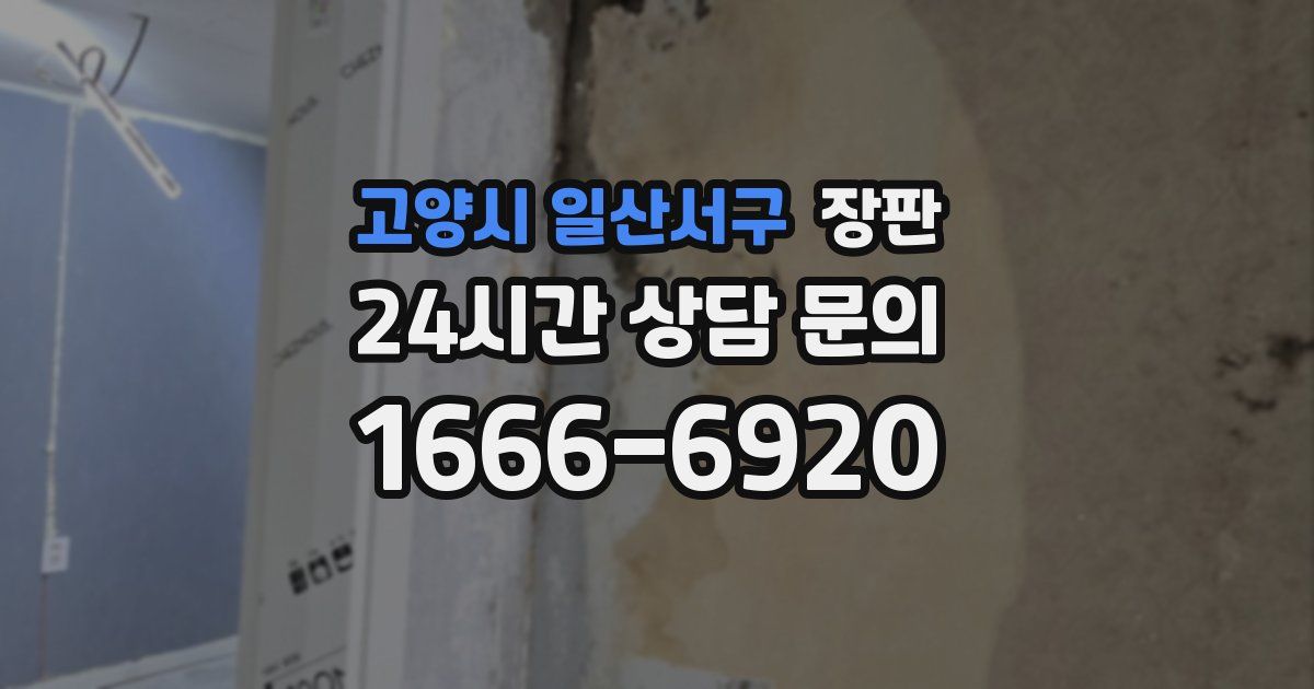 고양시 일산서구 장판