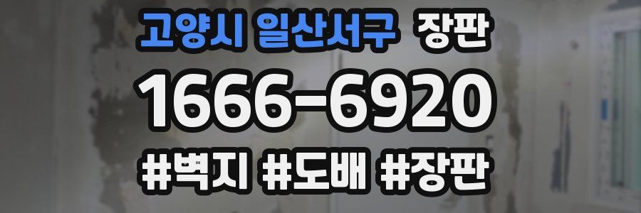 고양시 일산서구 장판