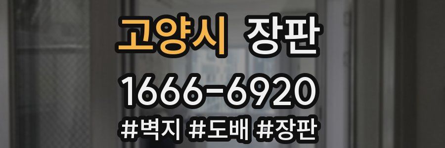 고양시 장판