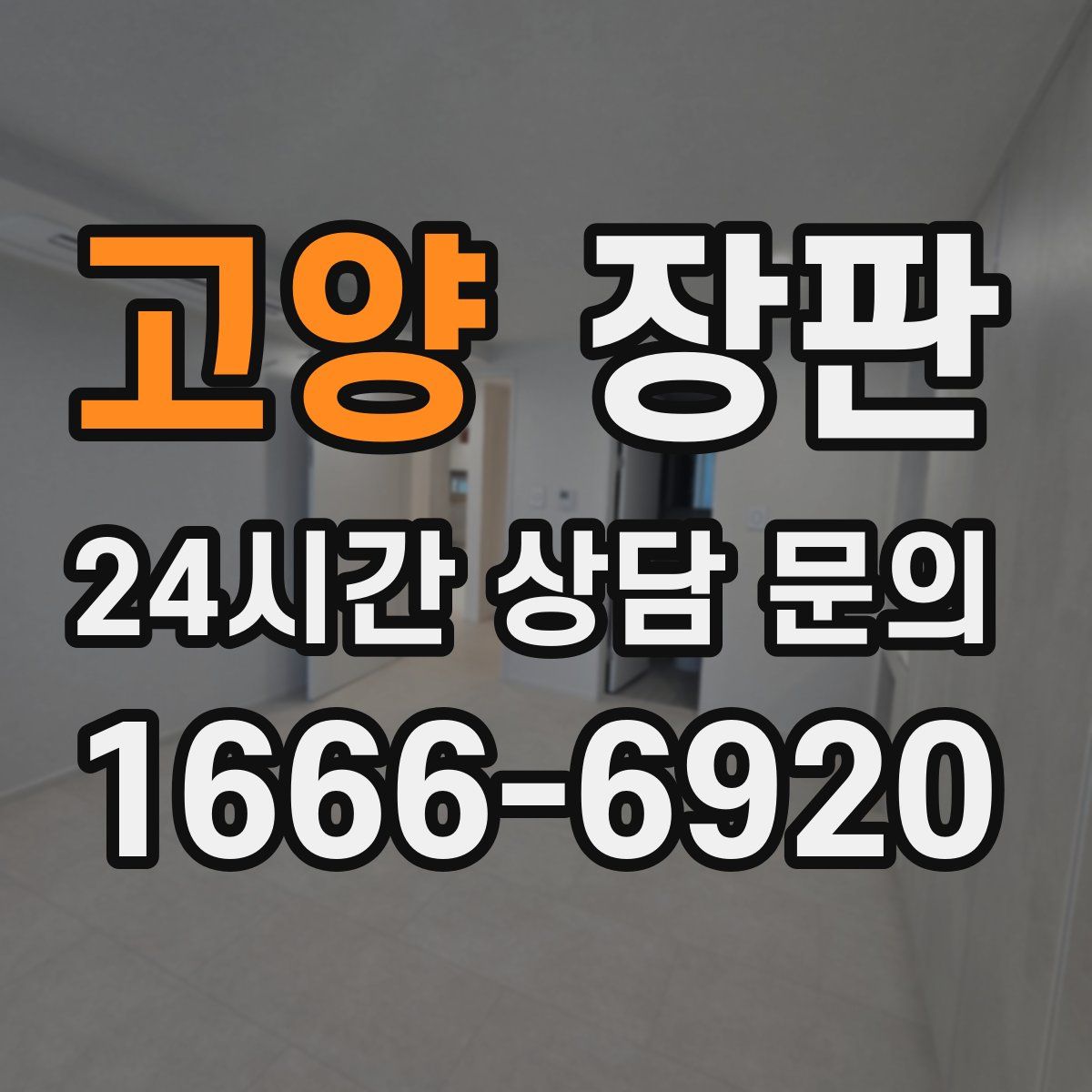 고양 장판