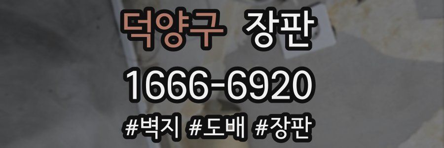 덕양구 장판