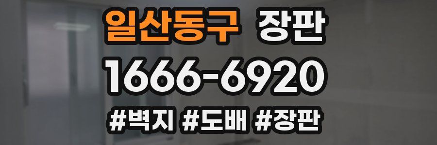 일산동구 장판