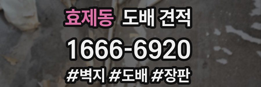 효제동 도배 견적