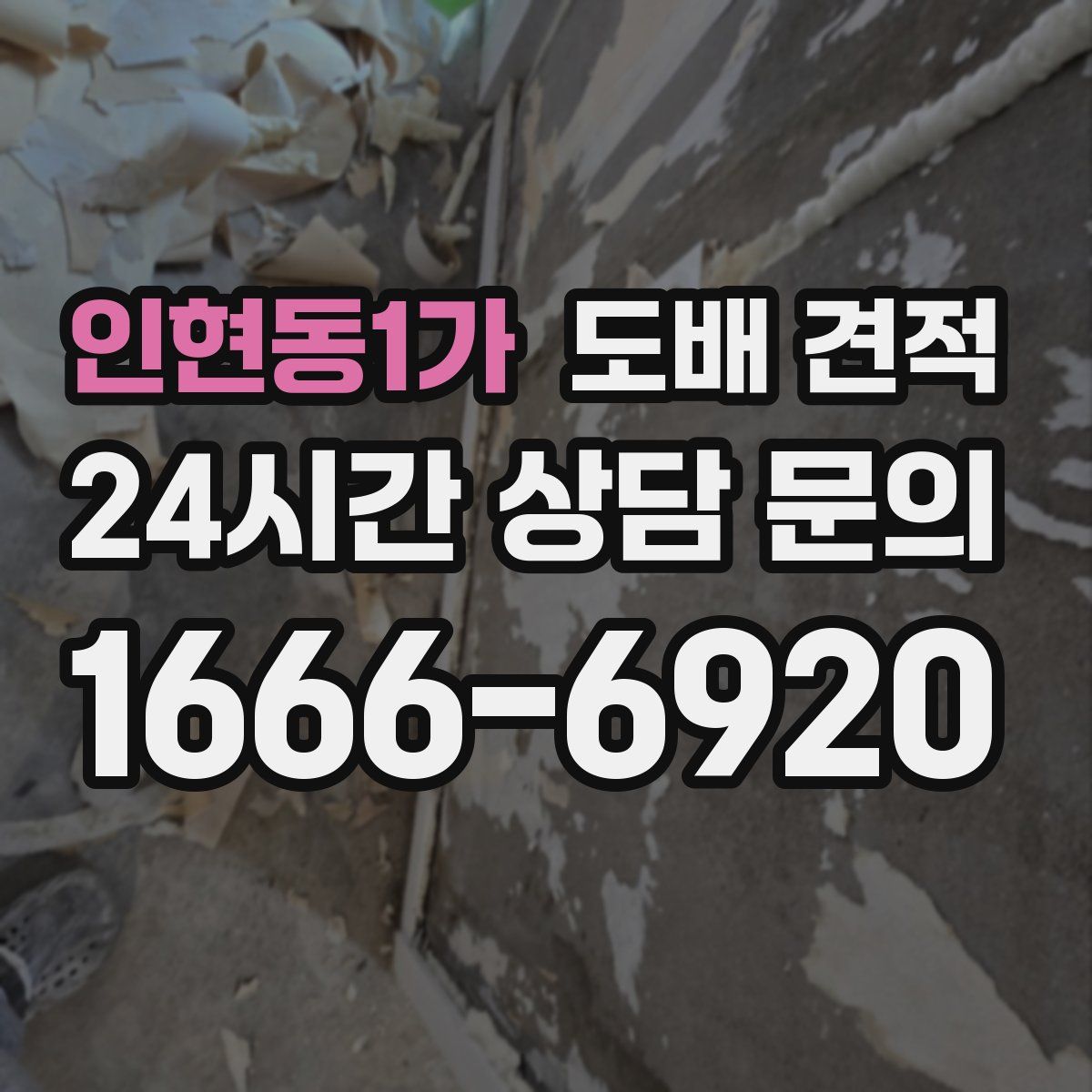 인현동1가 도배 견적