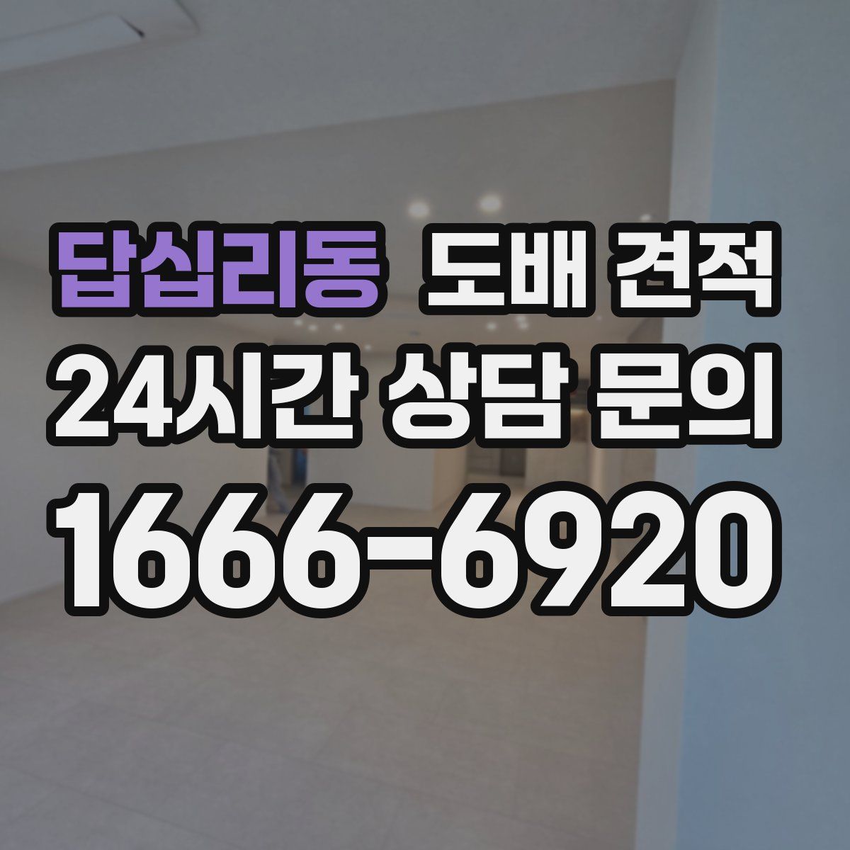 답십리동 도배 견적