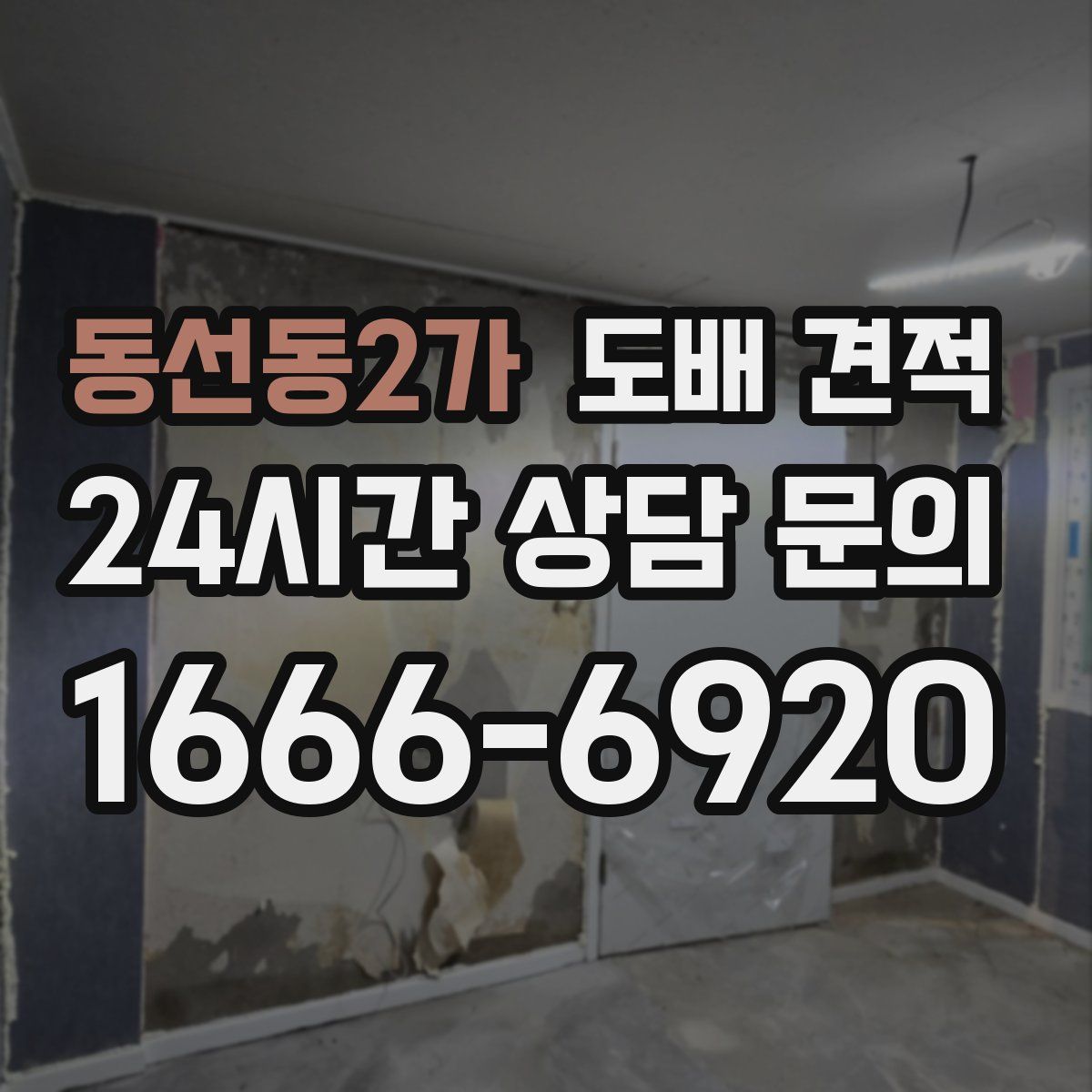 동선동2가 도배 견적