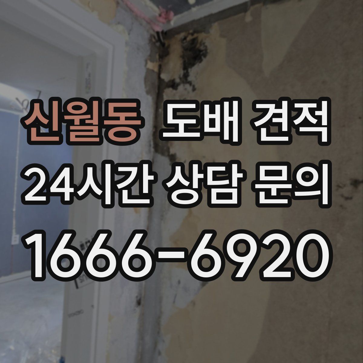 신월동 도배 견적