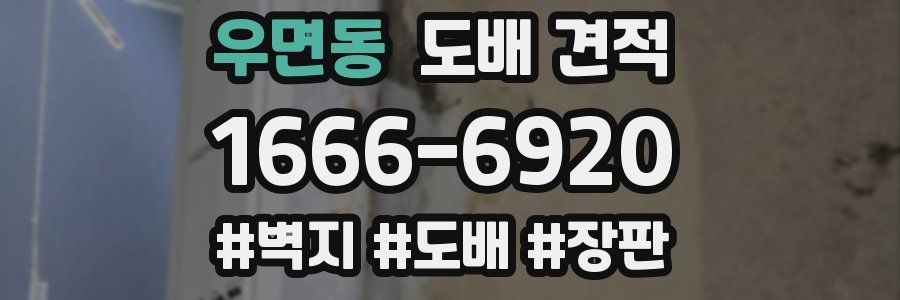 우면동 도배 견적