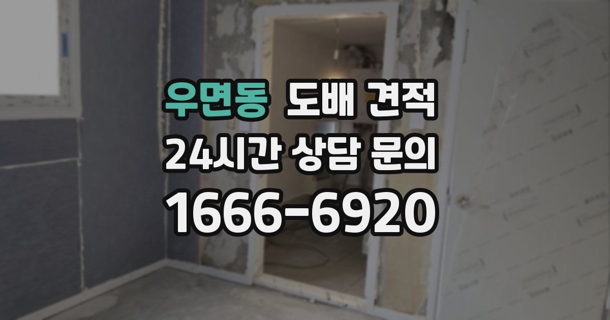 우면동 도배 견적
