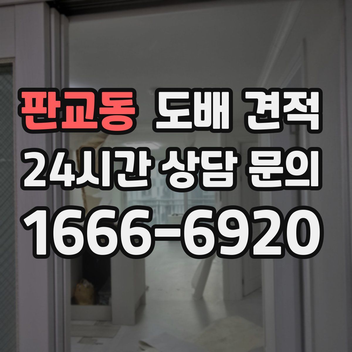 판교동 도배 견적