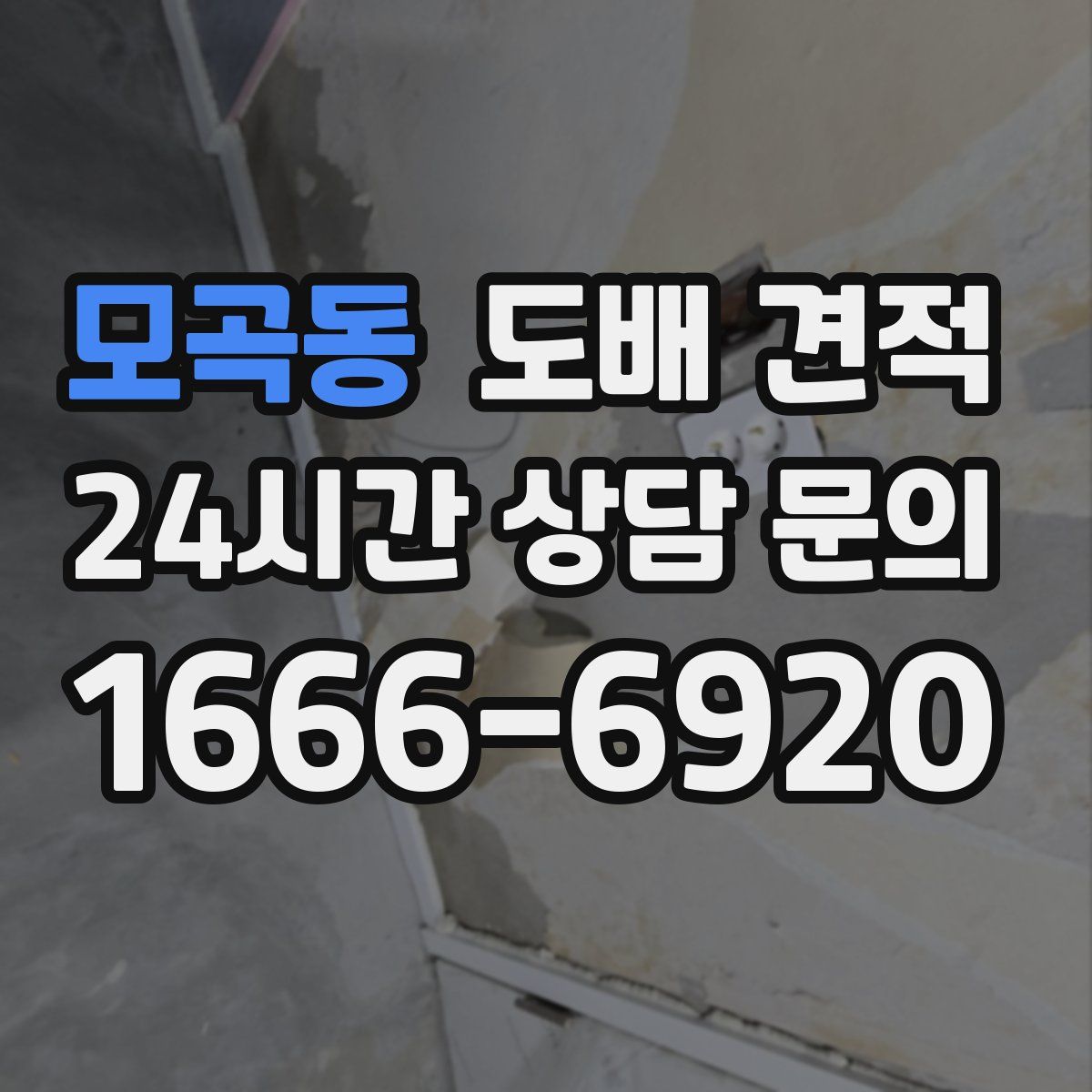 모곡동 도배 견적