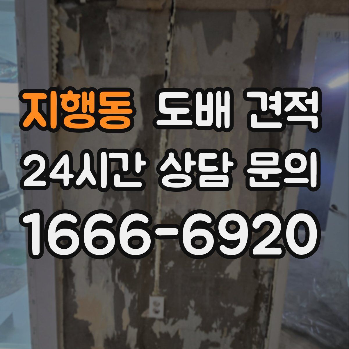지행동 도배 견적