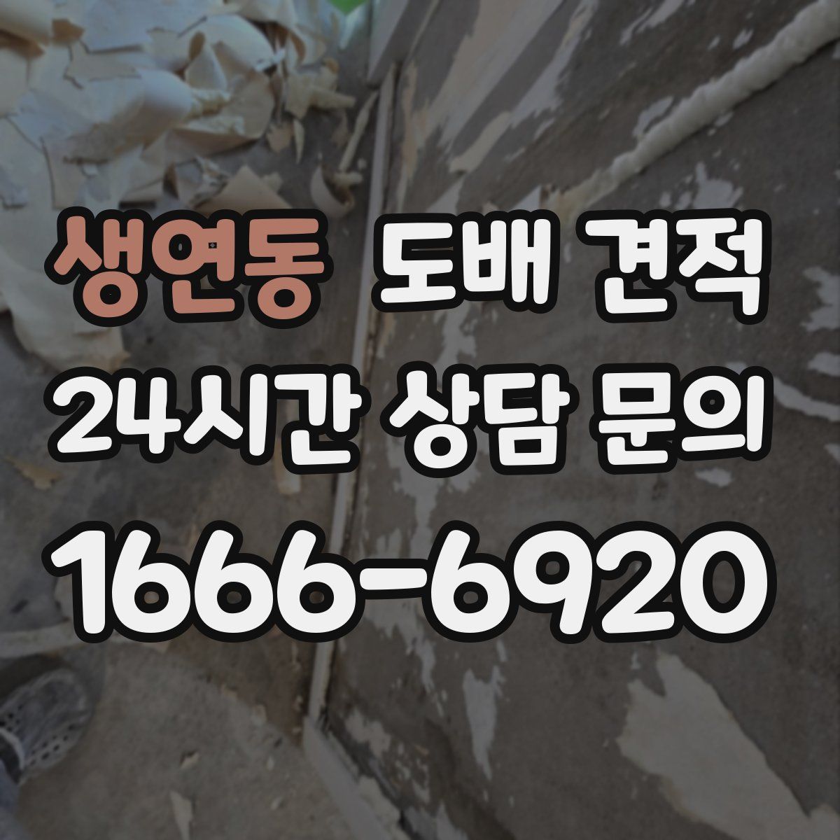 생연동 도배 견적