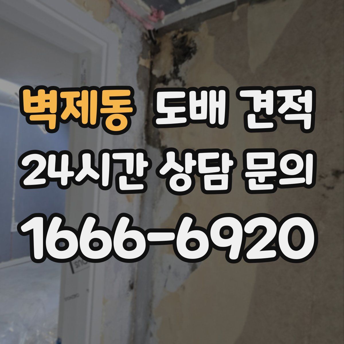 벽제동 도배 견적