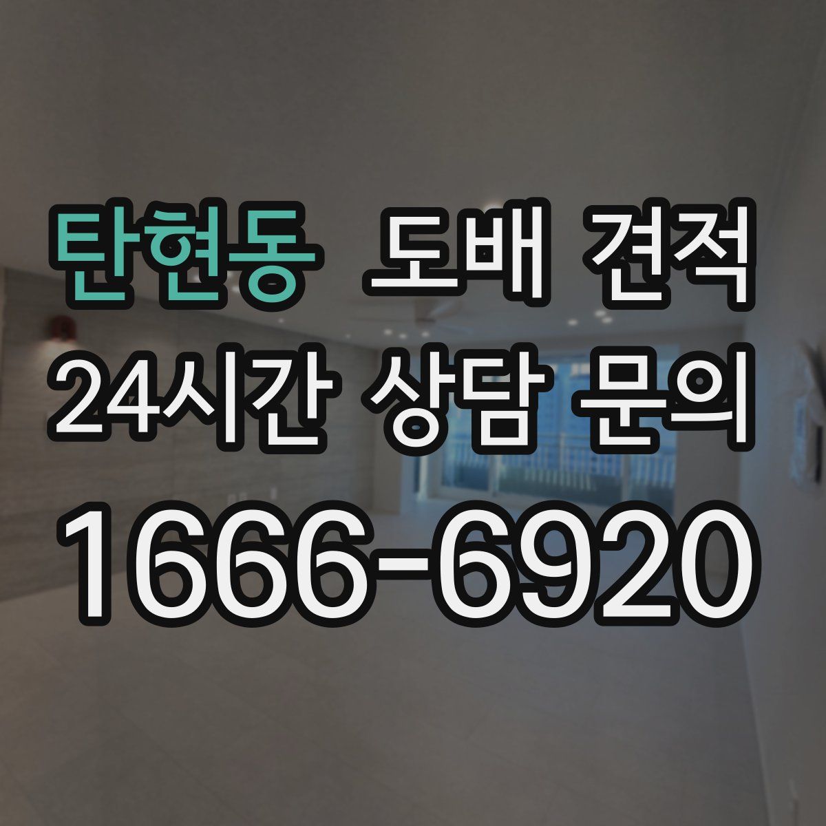 탄현동 도배 견적