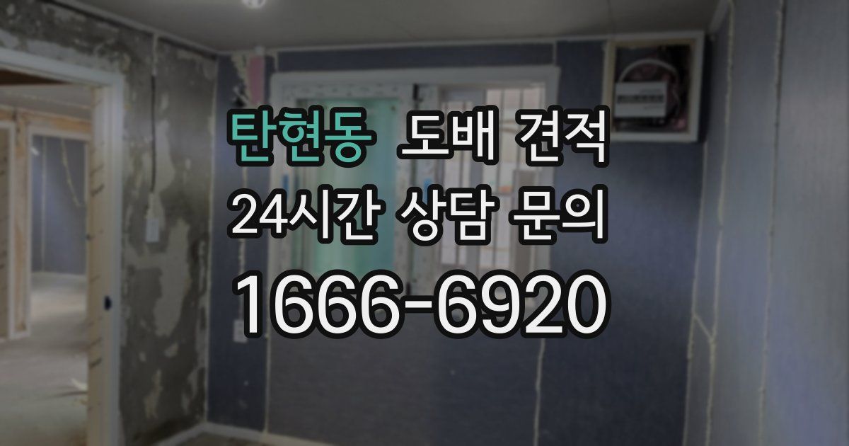 탄현동 도배 견적