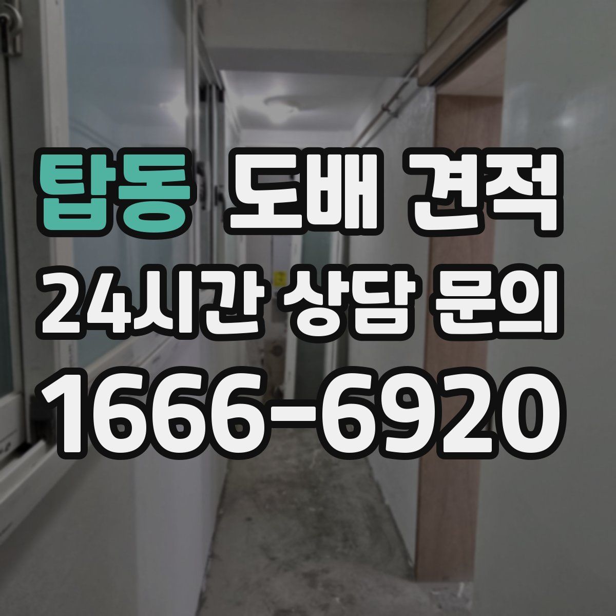 탑동 도배 견적