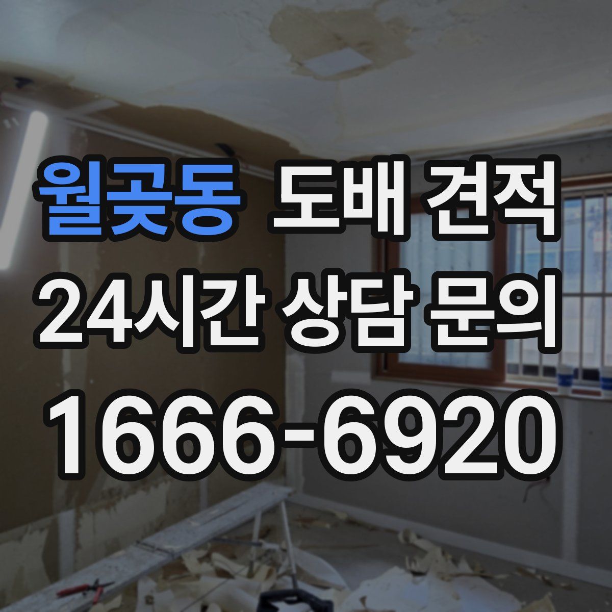 월곶동 도배 견적
