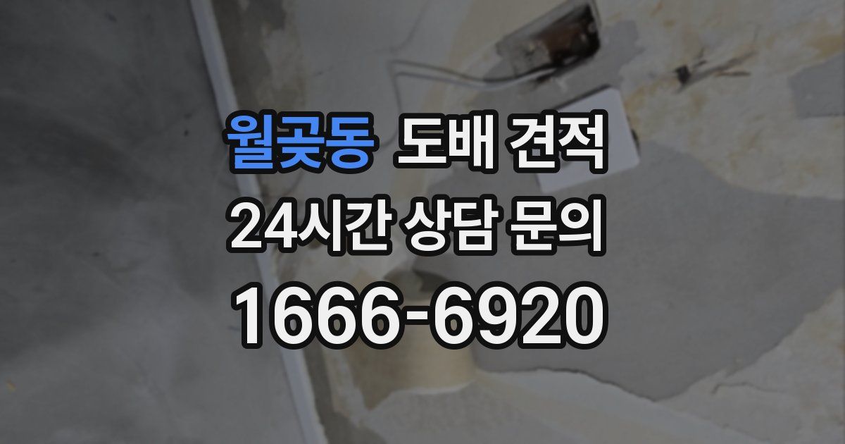 월곶동 도배 견적