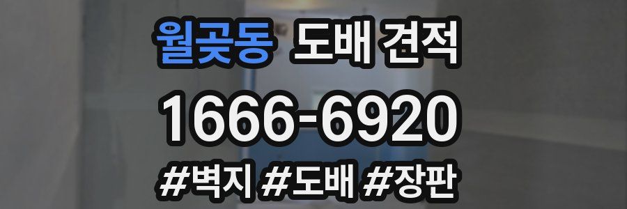 월곶동 도배 견적