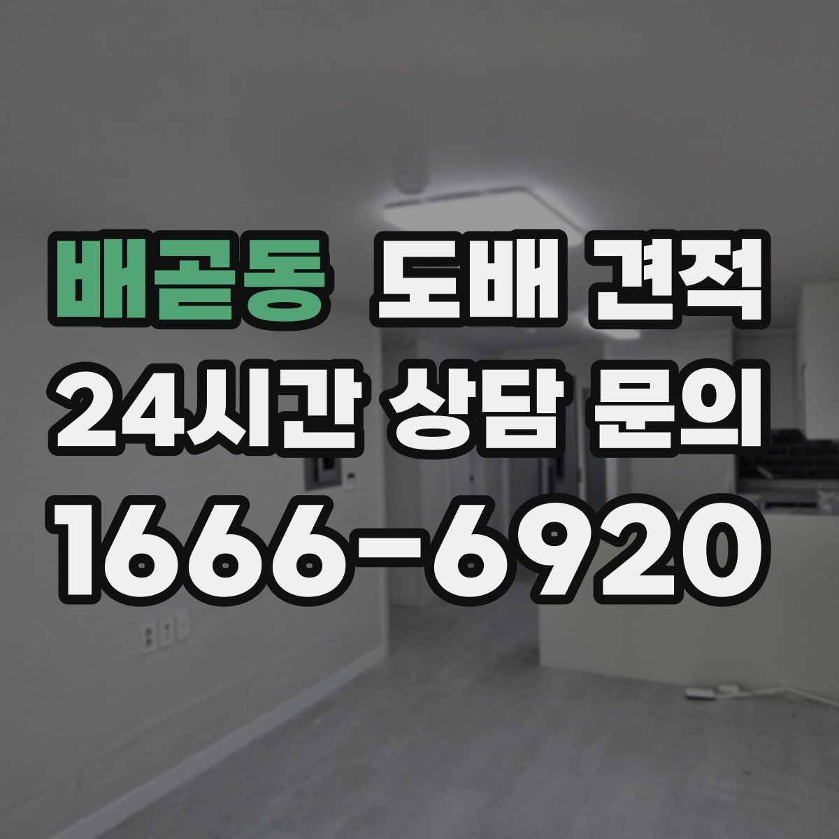 배곧동 도배 견적