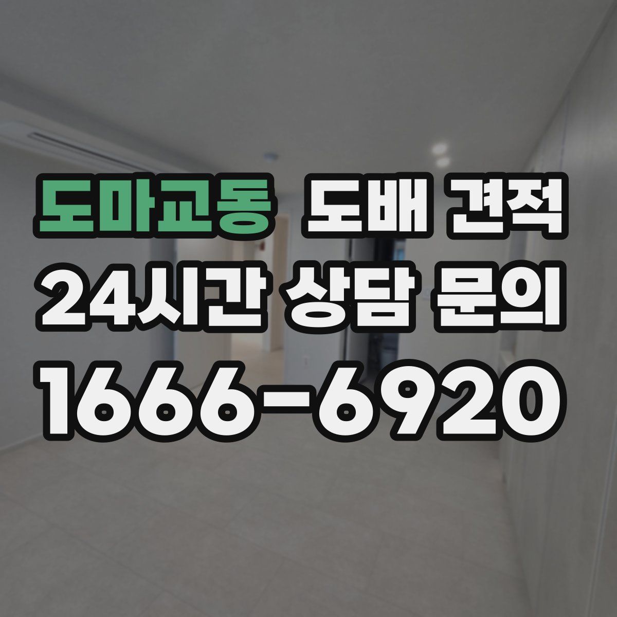 도마교동 도배 견적