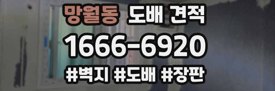 망월동 도배 견적