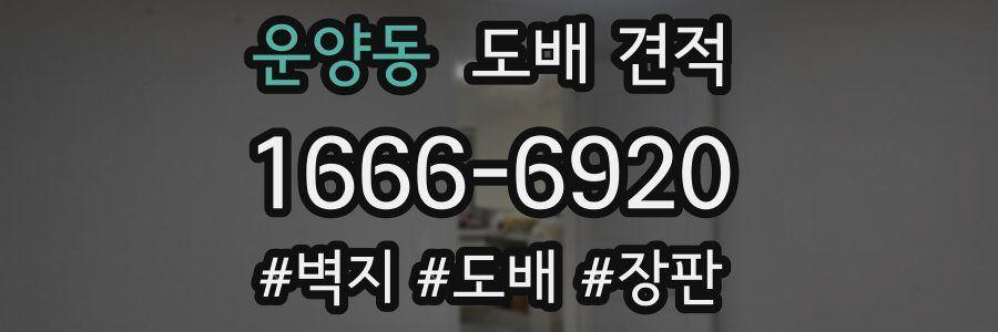 운양동 도배 견적