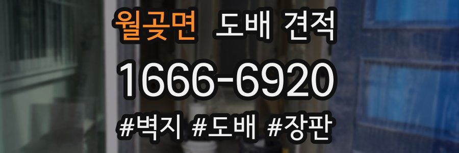 월곶면 도배 견적