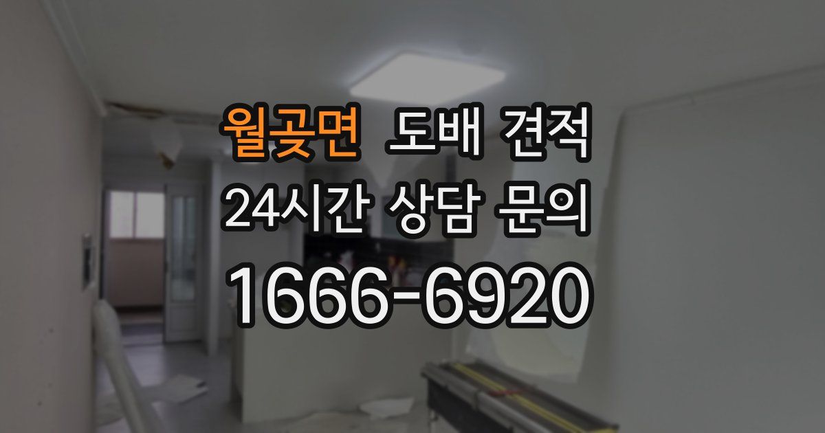 월곶면 도배 견적