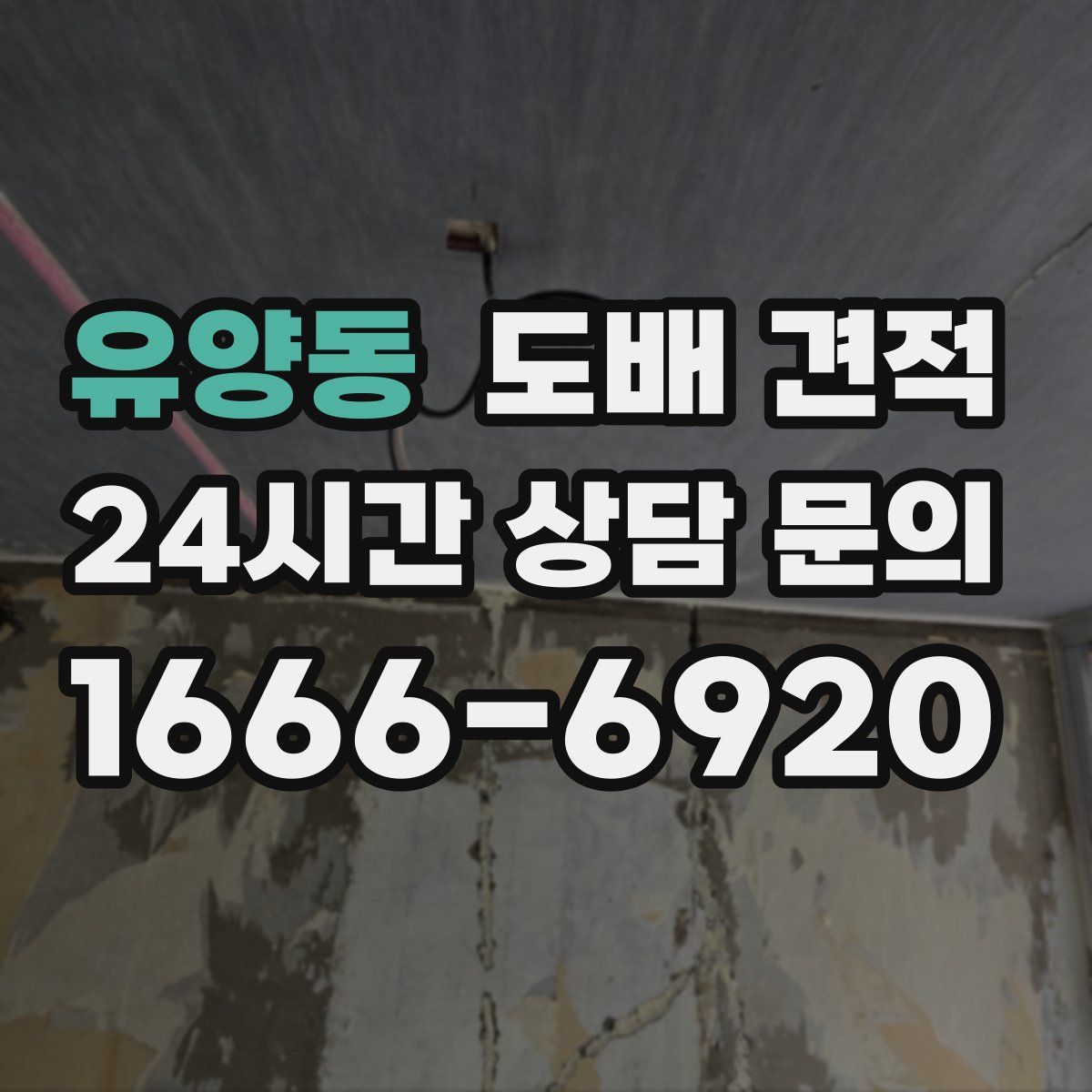 유양동 도배 견적