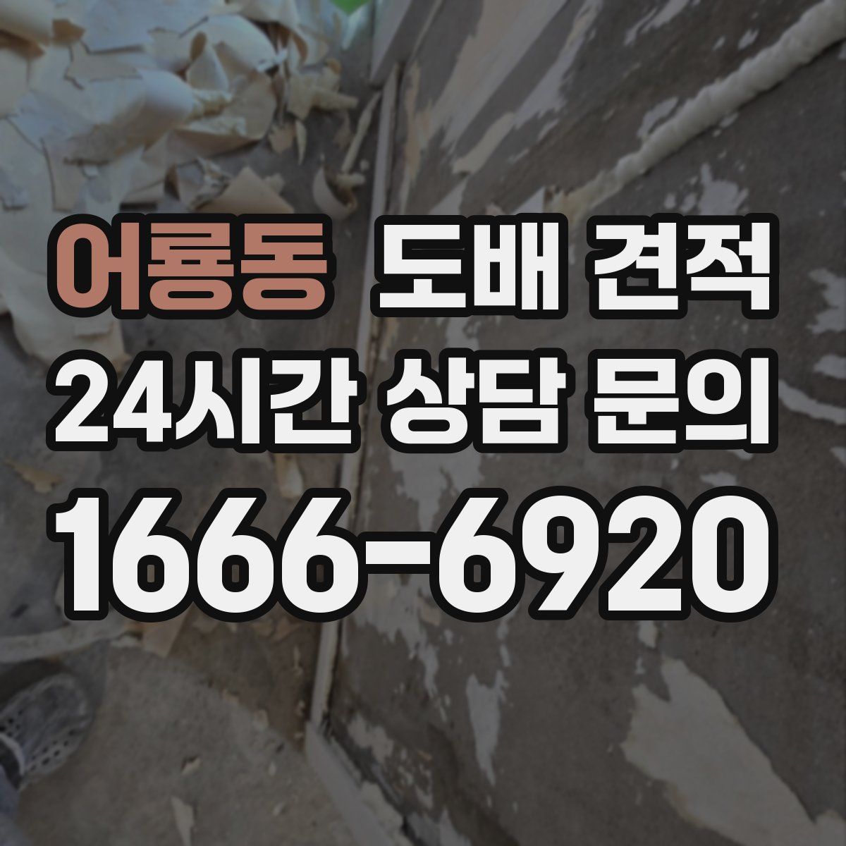 어룡동 도배 견적