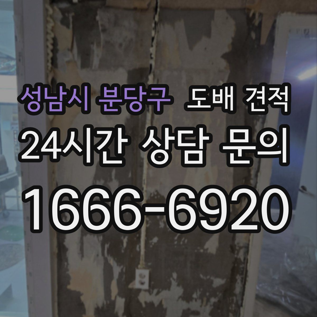 성남시 분당구 도배 견적