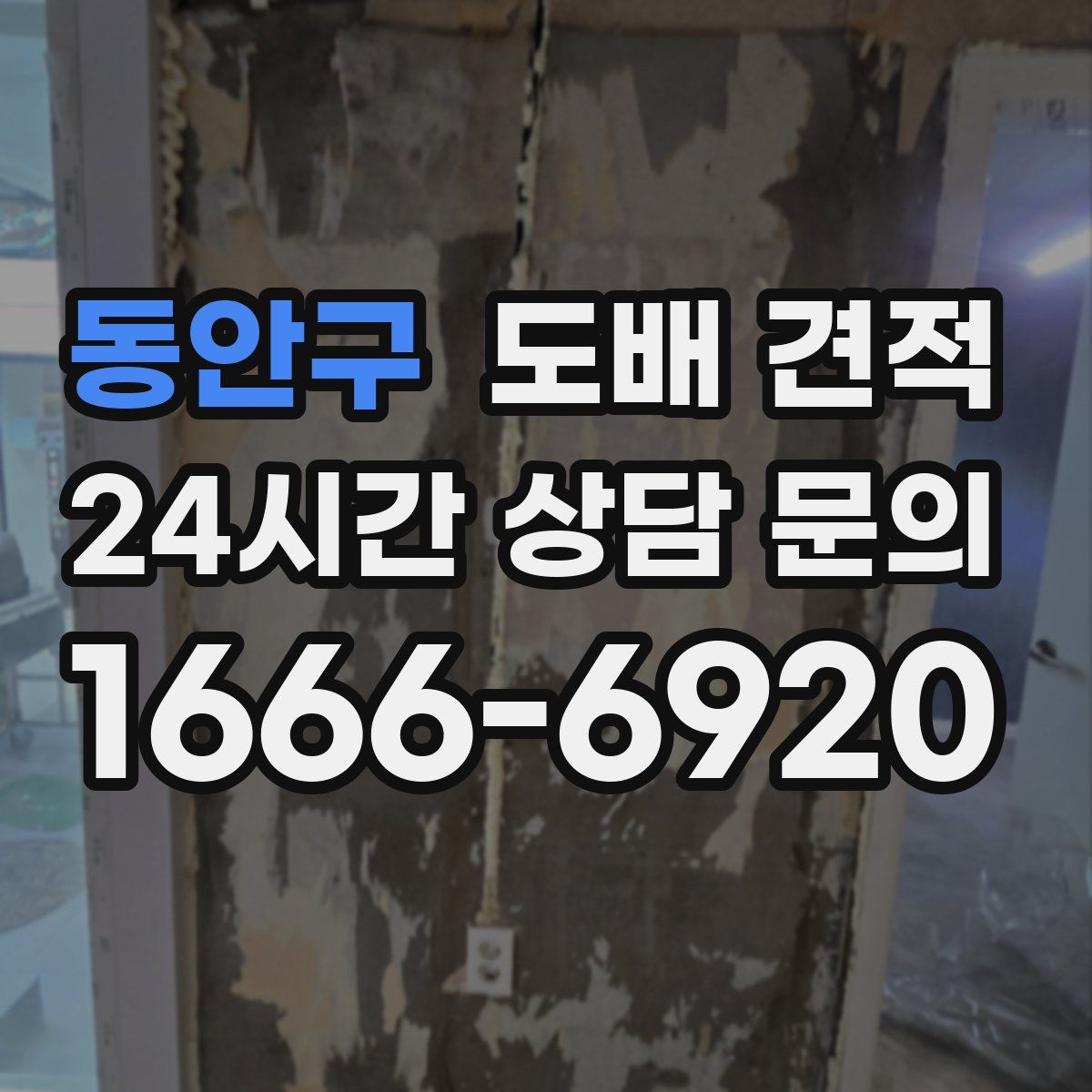 동안구 도배 견적