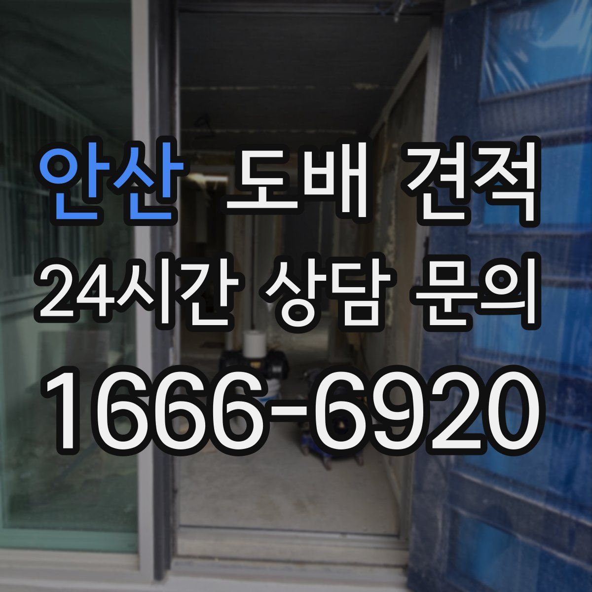 안산 도배 견적