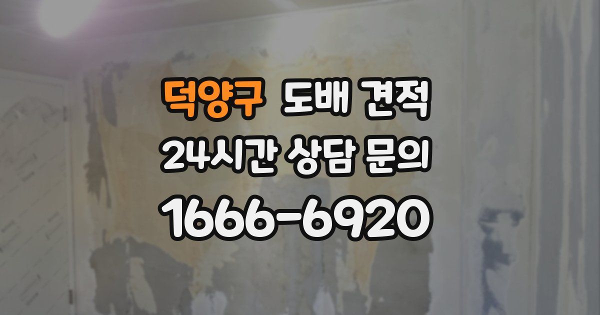 덕양구 도배 견적